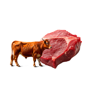 cow-meat-beef