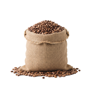Bag of Beans