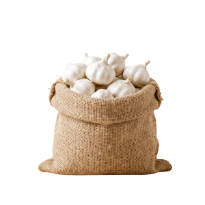 garlic