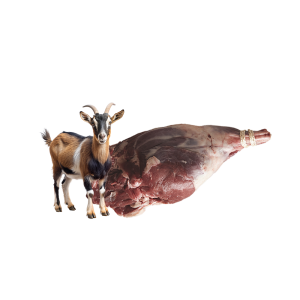 goat-meat