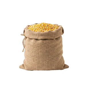 bag-of-maize