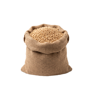 bag-of-soyabeans