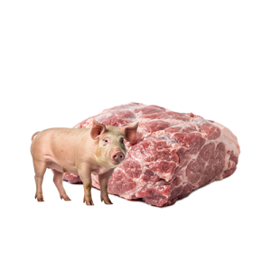 Pig Meat (Pork)